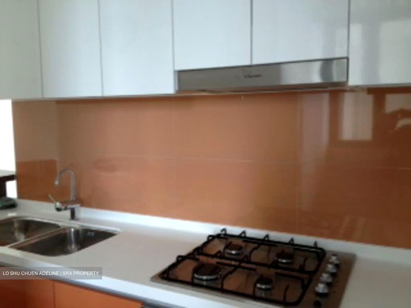 Double Bay Residences (D18), Condominium #566810061
